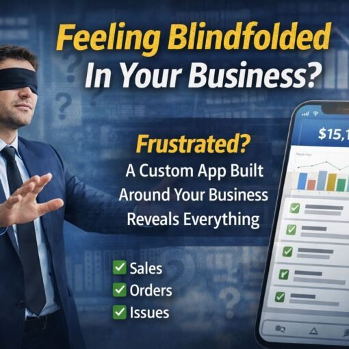 Business clarity with custom solutions